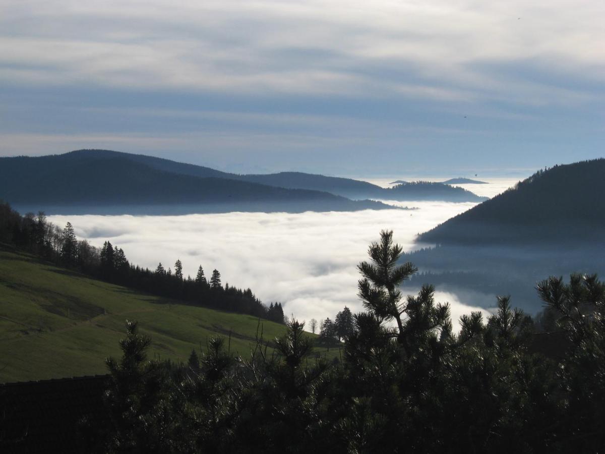Schoene Aussicht تودتناو المظهر الخارجي الصورة
